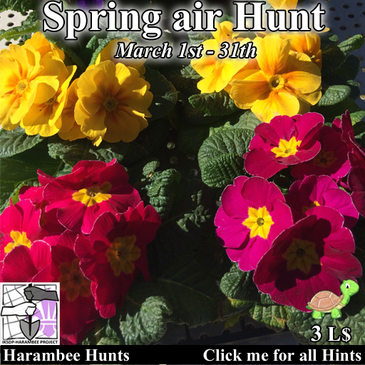 Spring Air Hunt